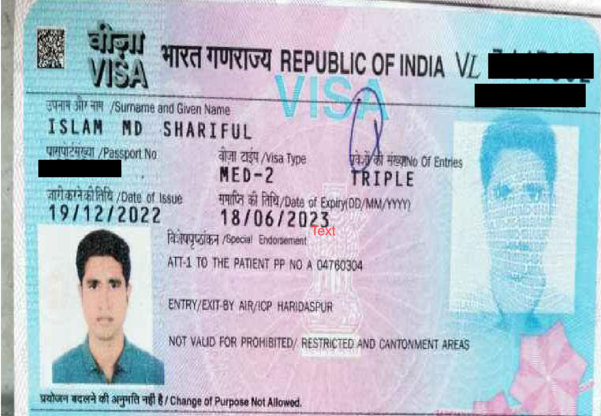 Sample visa document for OCR processing